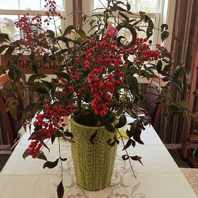 素敵な花瓶にお花を飾ってお部屋をおしゃれに インテリアを楽しもう Folk