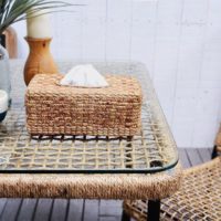 寒い冬だからこそ、ウォーターヒヤシンスをインテリアに取り入れ、リゾート気分で過ごしたい！