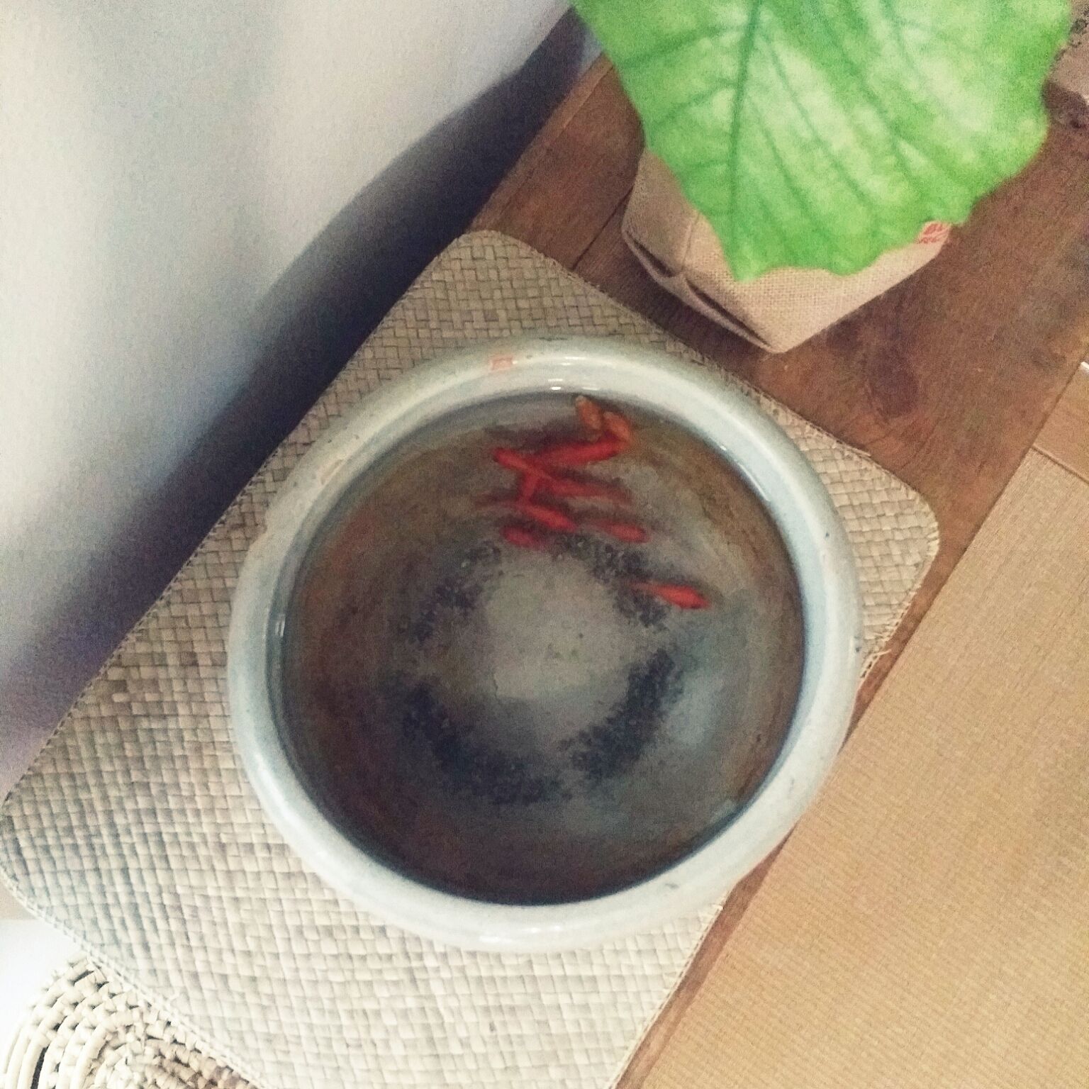 金魚鉢のある風景 金魚と共に快適な暮らしを送りませんか Folk