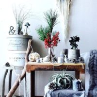 丸いフォルムがかわいい♡キセログラフィカでお部屋にグリーンを取り入れよう♪