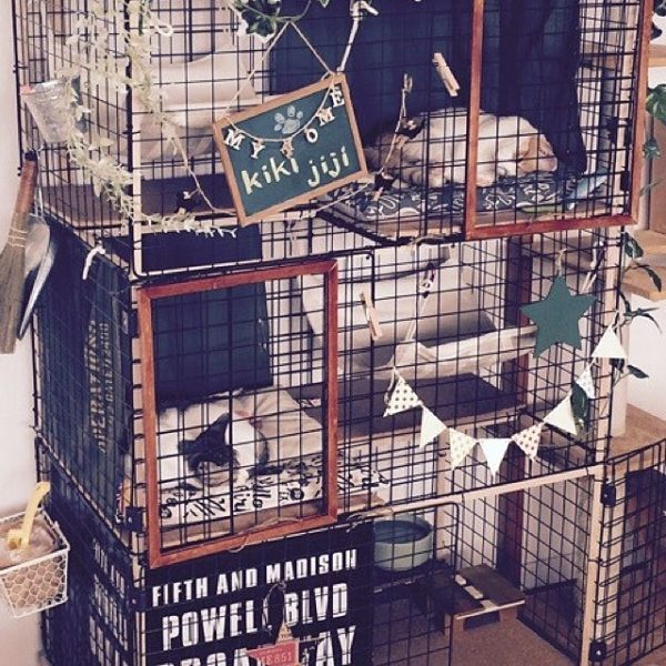 アレンジ次第でお洒落なインテリアに ペットと暮らすお洒落アイデア Folk