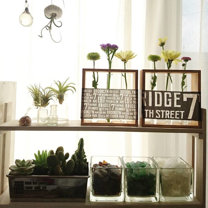 移し替えるだけでぐっとおしゃれに 100均多肉で魅せるインテリア Folk