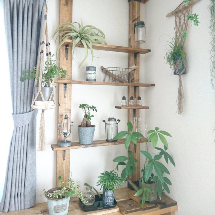 グリーンのある生活に憧れる☆観葉植物インテリアが素敵なお部屋20選 | folk