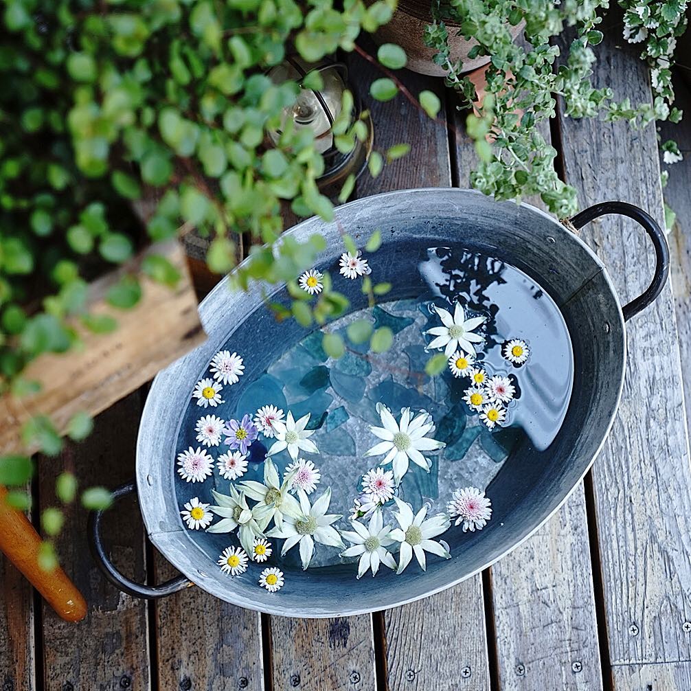 マネしてみたい魅力的なお庭8選 ナチュラルガーデンのコツを学ぼう Folk