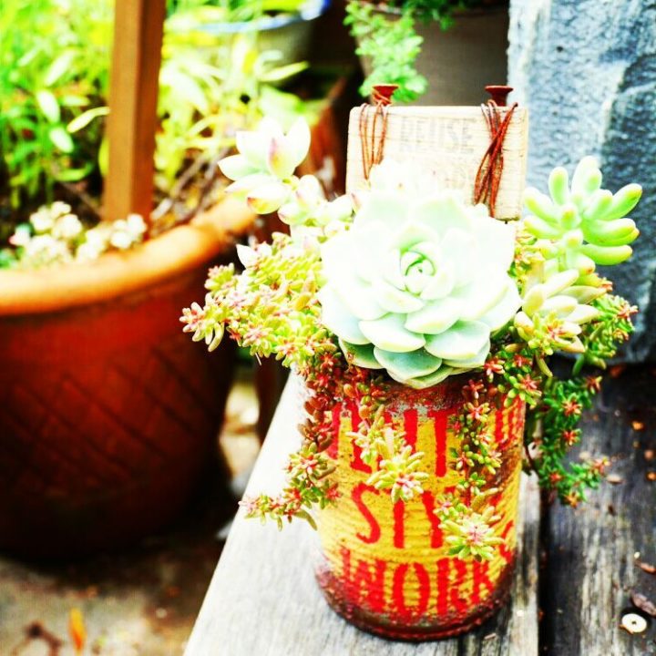 大人気！リメ缶を使った素敵なインテリアコーデを拝見☆ | folk