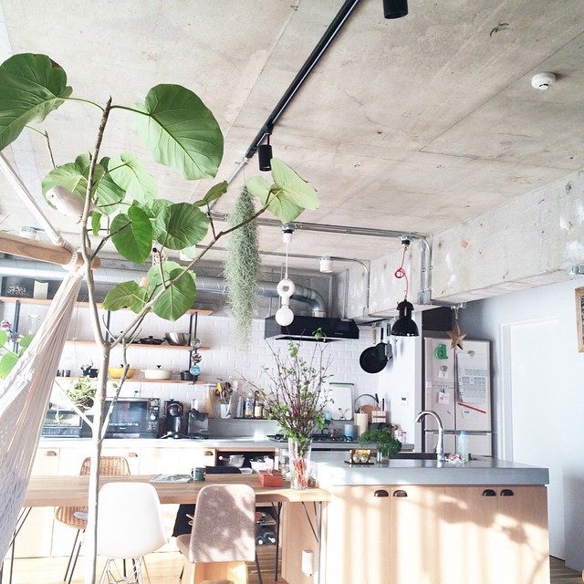 観葉植物のオシャレなコーディネート選 お部屋の雰囲気を簡単チェンジ Folk