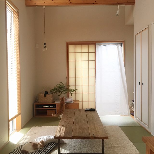 やっぱり畳が落ち着く 畳スペースのあるお部屋のインテリア Folk