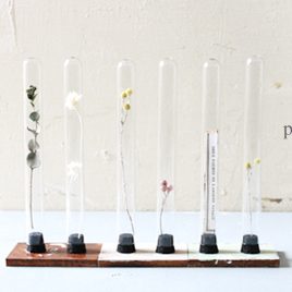 100均の試験管diy 懐かしの理系アイテムもdiyでおしゃれなアイテムに Folk