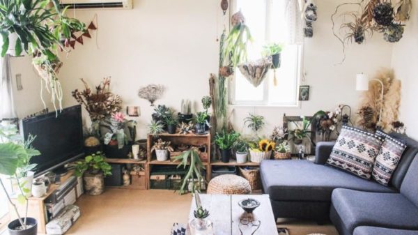 グリーン使いの達人に学ぶインドアガーデン実例選 癒やしのグリーンを取り入れてリラックス空間を演出 Folk