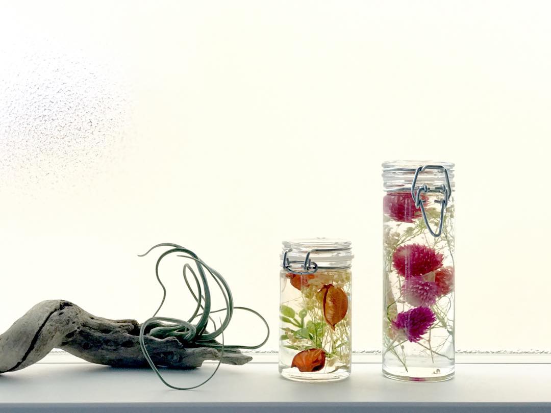 お手入れいらずで長持ち 植物標本 ハーバリウム を作って飾ろう Folk