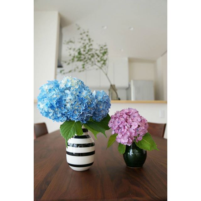 一輪でもキレイに決まる おしゃれな花の飾り方をご紹介 Folk