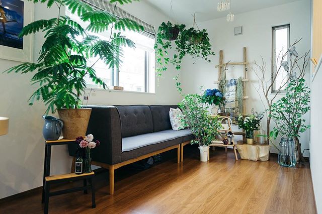 お部屋にグリーンがある暮らし インテリアに観葉植物を素敵に取り入れる方法 Folk