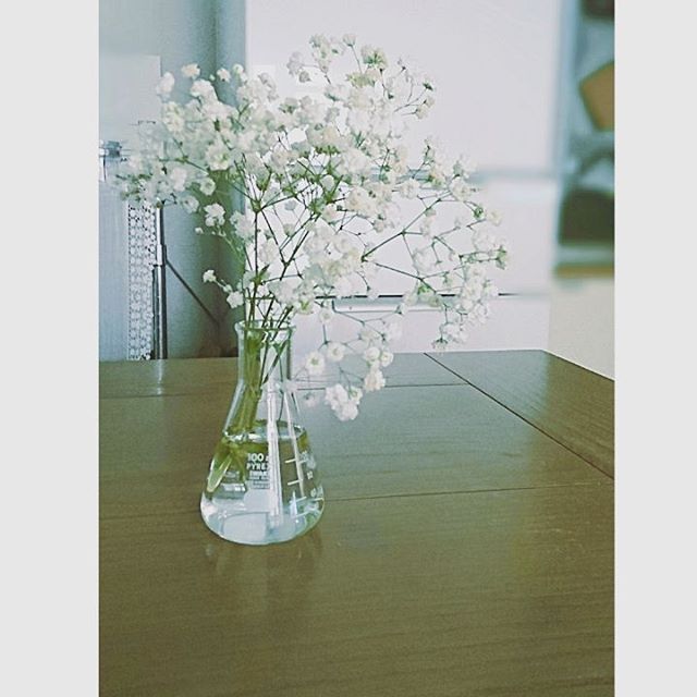 人気の理系アイテムをお部屋に取り入れよう フラスコのおしゃれな使い方 Folk