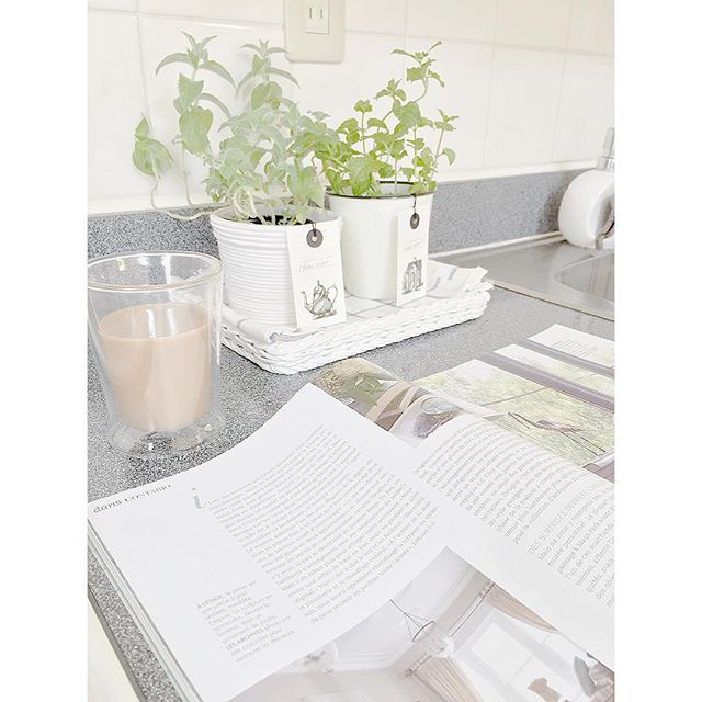 お家で楽しむ小さな家庭菜園 成長したらおいしくいただきましょう Folk