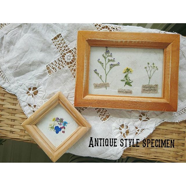 お庭のお花を活用しよう 押し花を使ったオシャレなディスプレイ Folk