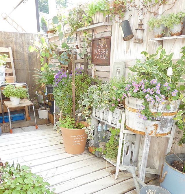 窓からの眺めを涼しく ベランダで楽しむガーデニング実例をご紹介 Folk