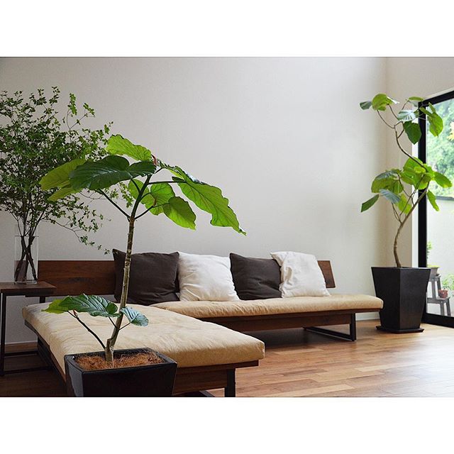 お客様が来ても安心 おしゃれなお部屋に見せるアイデア選 Folk