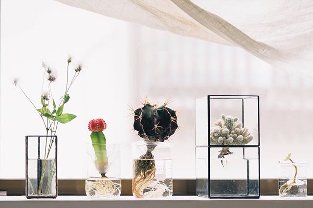 ビーカーやフラスコがおしゃれアイテムに ステキな活用法をご紹介します Folk