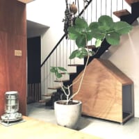 猫のいる生活♡インテリアにこだわりながら猫が快適に暮らせるお部屋に！