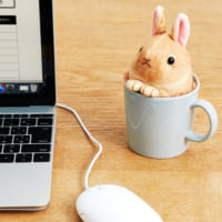眺めているとついホッコリ笑顔になっちゃう♪キュートなうさぎアイテム8選