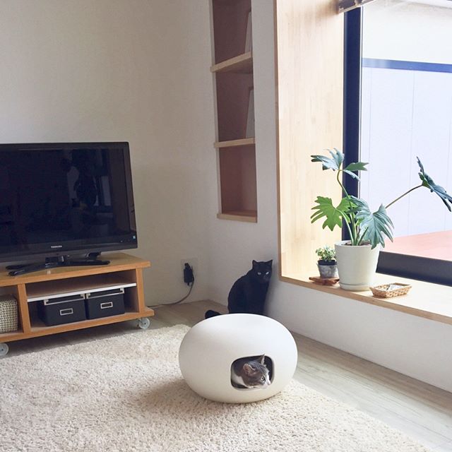おしゃれなお家から学ぶ 猫がいるからこそ楽しみたいインテリア Folk