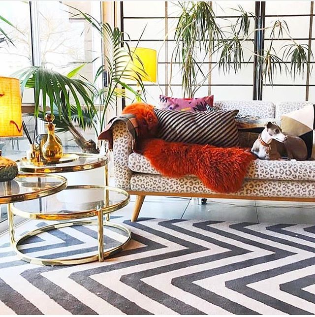 ラグやカーペットの活用方法をチェック 海外インテリアの部屋別実例集 Folk