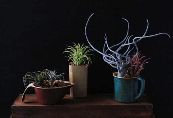 連載 Cainzフェイクグリーン 100均diyでつくる簡単おしゃれなグリーンlife Folk