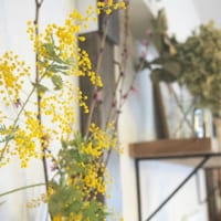 お部屋の雰囲気も衣替え！春インテリアを作るコツ15選をご紹介します♡