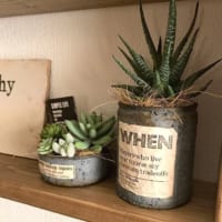 Cainz Folk フェイクグリーンアレンジ特集 Folk