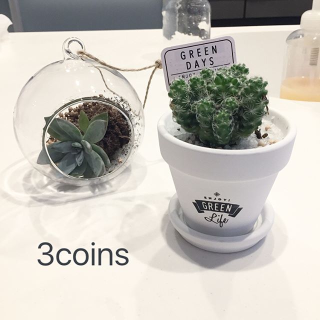 プチプラでカワイイをget 3coins Coucou のおしゃれアイテムをご紹介 Folk