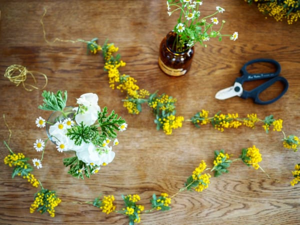 連載 3月の花ミモザを長く楽しむ おすすめ簡単アレンジ3選 Folk