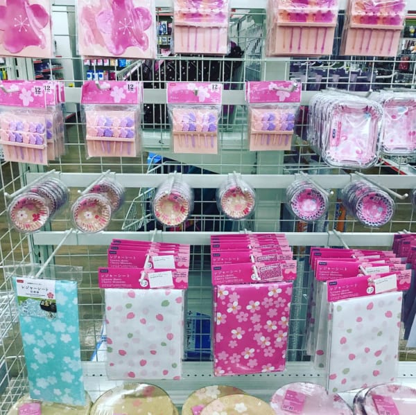 お花見セットはぜひここで【ダイソー】