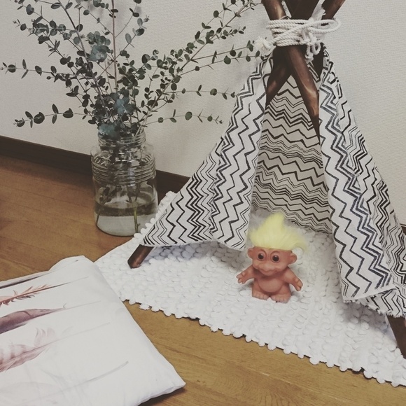 ペットとの生活を快適に 無印 セリアetc アイテムで作るグッズ Folk