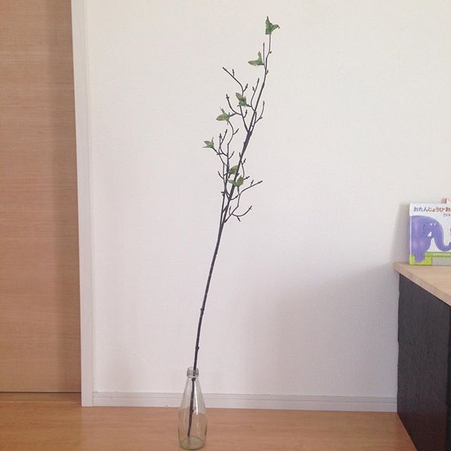 100均 造花のおしゃれな飾り方 部屋を彩るインテリアにするためのコツって Folk