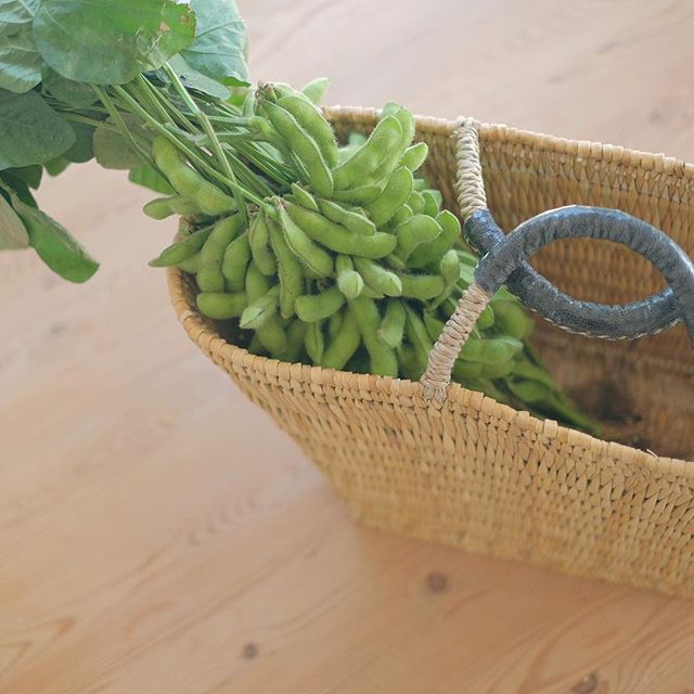 初心者におススメ ベランダで栽培できる 家庭菜園 を初夏から始めてみませんか Folk