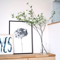 インテリアがぐっと華やかに！《植物のある暮らし》にチャレンジしよう♡