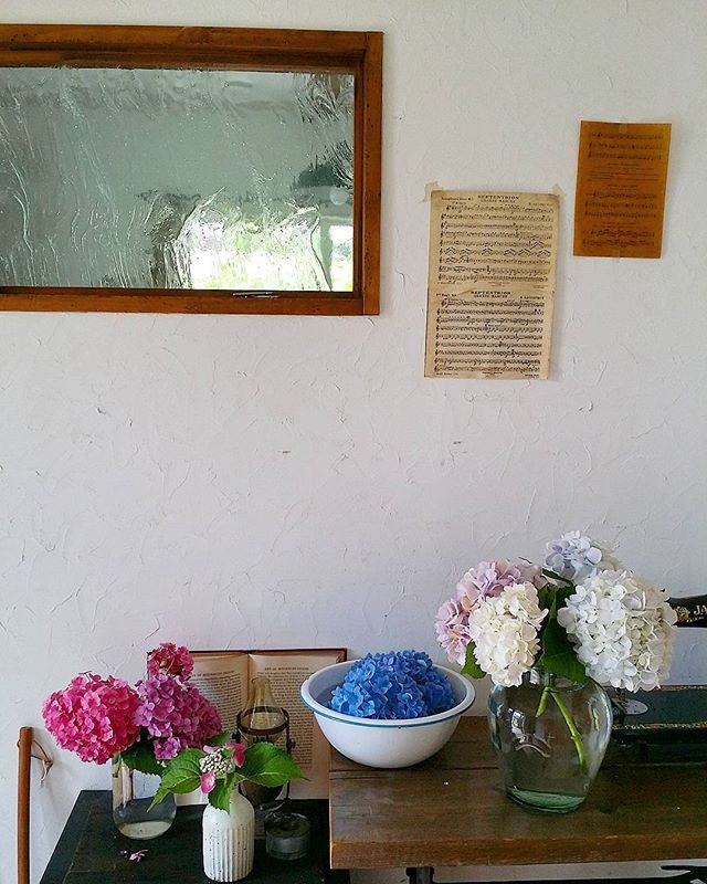 浮き花でみずみずしく華やかに 新感覚のフラワーアレンジを楽しむ Folk 浮き花でみずみずしく華やかに 新感覚のフラワーアレンジを楽しむ Folk