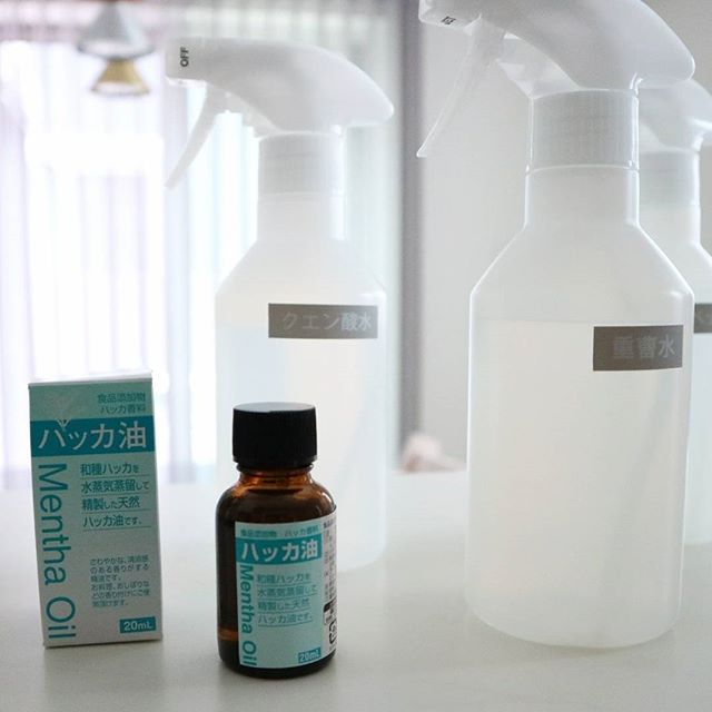 掃除　キッチン　風水　ハッカ油
