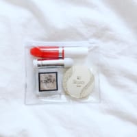 【3COINS・セリア・ダイソーetc.】プチプラで揃えよう♡夏の定番クリアグッズ！