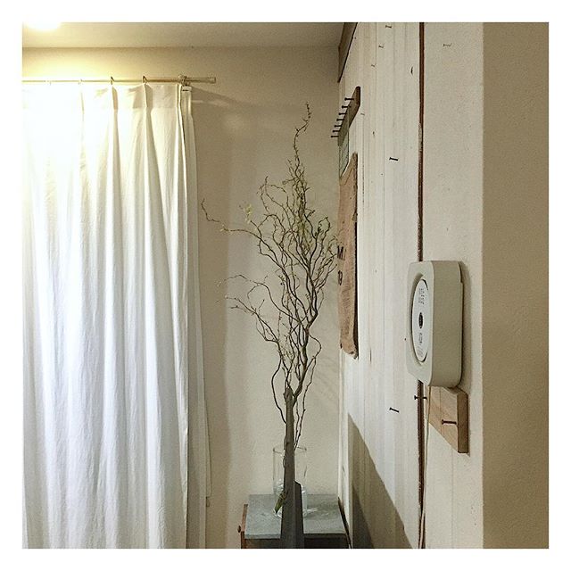 枝もの植物9