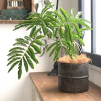 【連載】セリアのシールと建築資材で作る！アンティーク雑貨のような鉢カバーをDIY♪