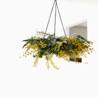 春に飾りたい季節のお花 おすすめの花とおしゃれな飾り方で春を先取りしよう Folk