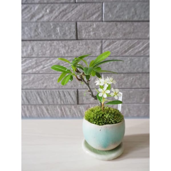 年 母の日におすすめのプレゼント特集 年代別 喜ばれるギフトをご紹介 Folk