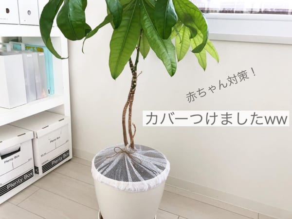 鉢植えカバーを作ろう。