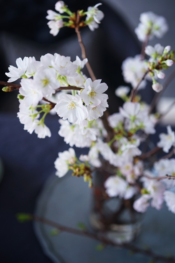 桜と春の花の活け方6