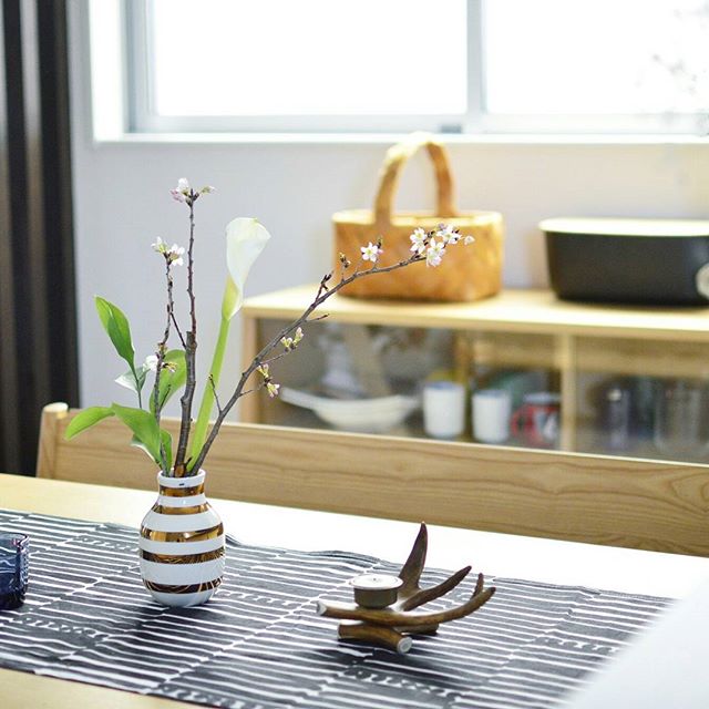 小さな春を家族の中心に