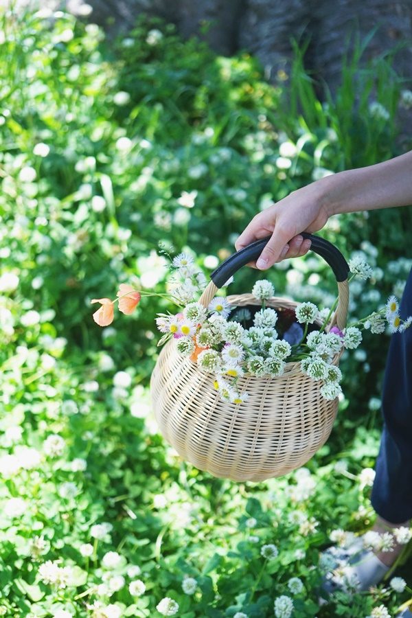 道端の草花