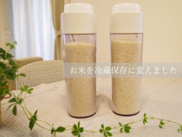 野菜室にぴったりの米保存容器