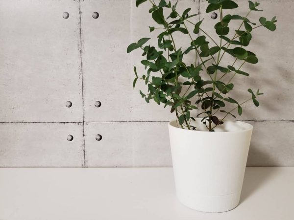 ダイソーのインテリアアイテム