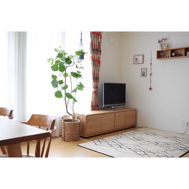 おしゃれ テレビ 収納3